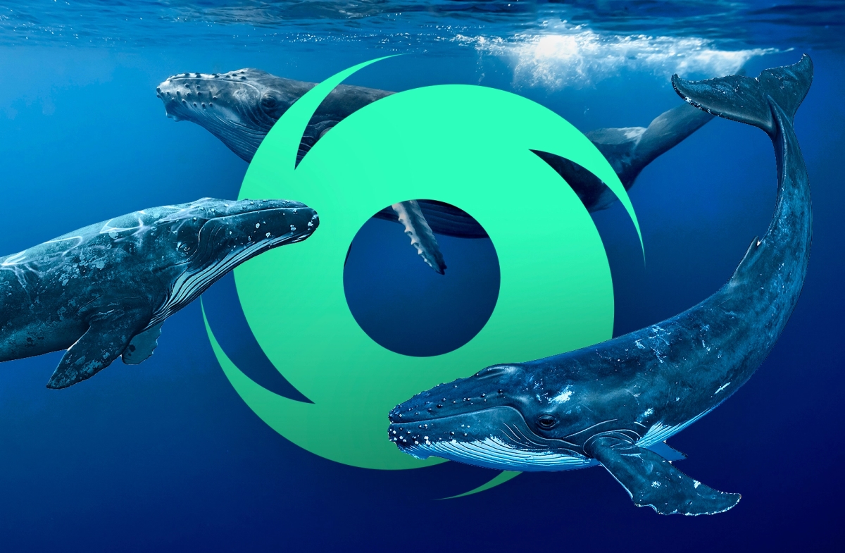 Tornado Cash volumes hit record high as wallets associated with Richard Heart pour in $400m