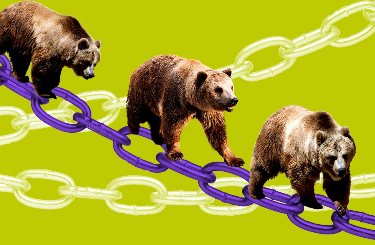 Berachain token slides 60% amid insider selling