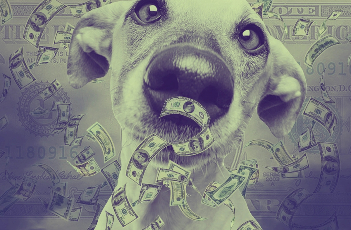 ‘Blockchain for dog nose wrinkles’ Ponzi makes off with $127m 