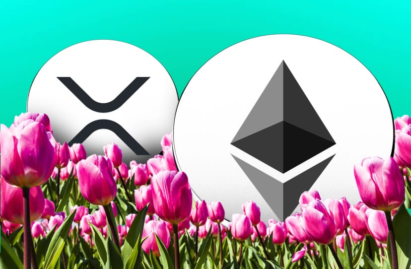 XRP and Ethereum volume surge flashes glimmers of altcoin spring