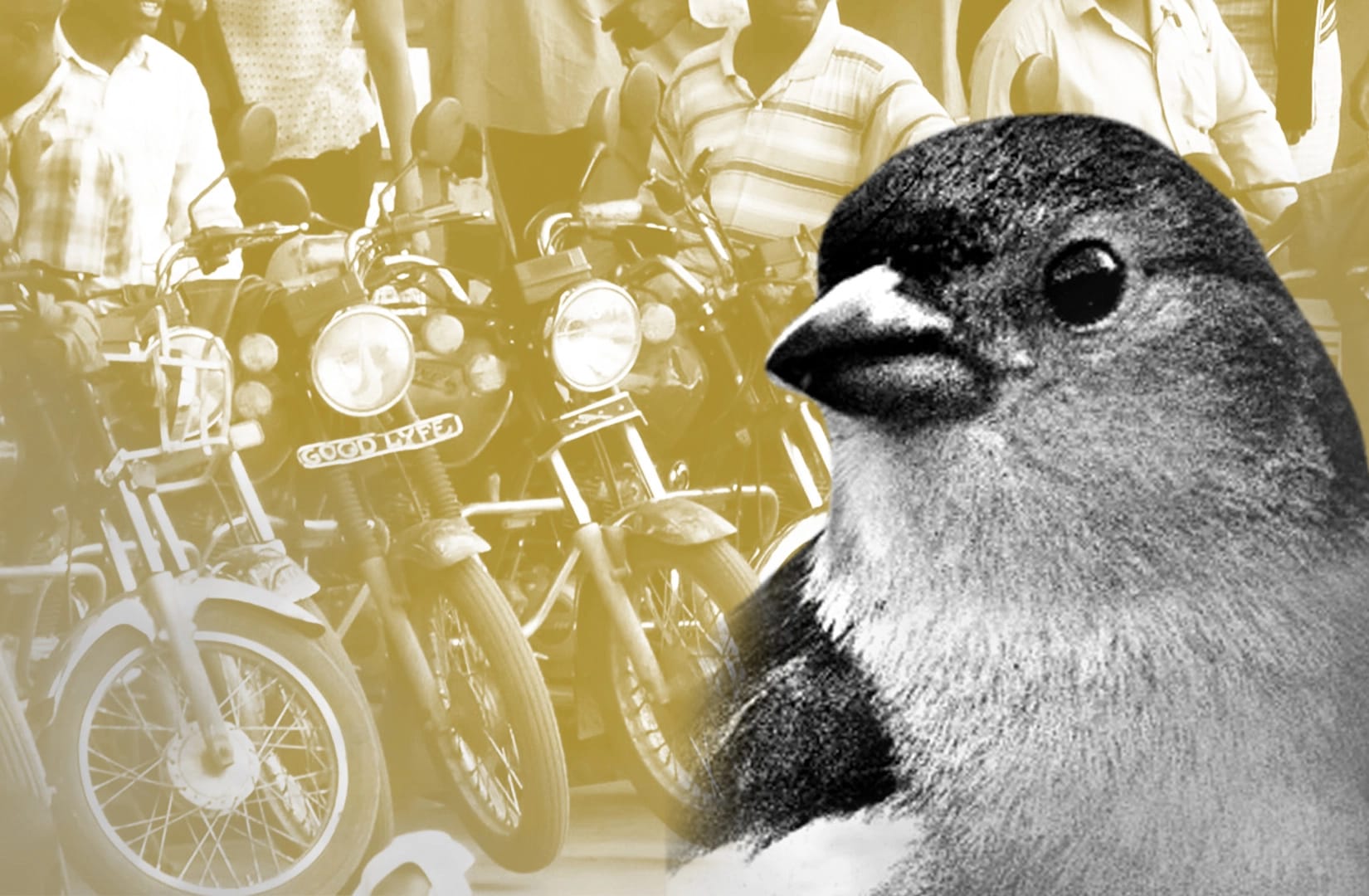 Goldfinch lends to small businesses in emerging markets. One of those loans just blew up.