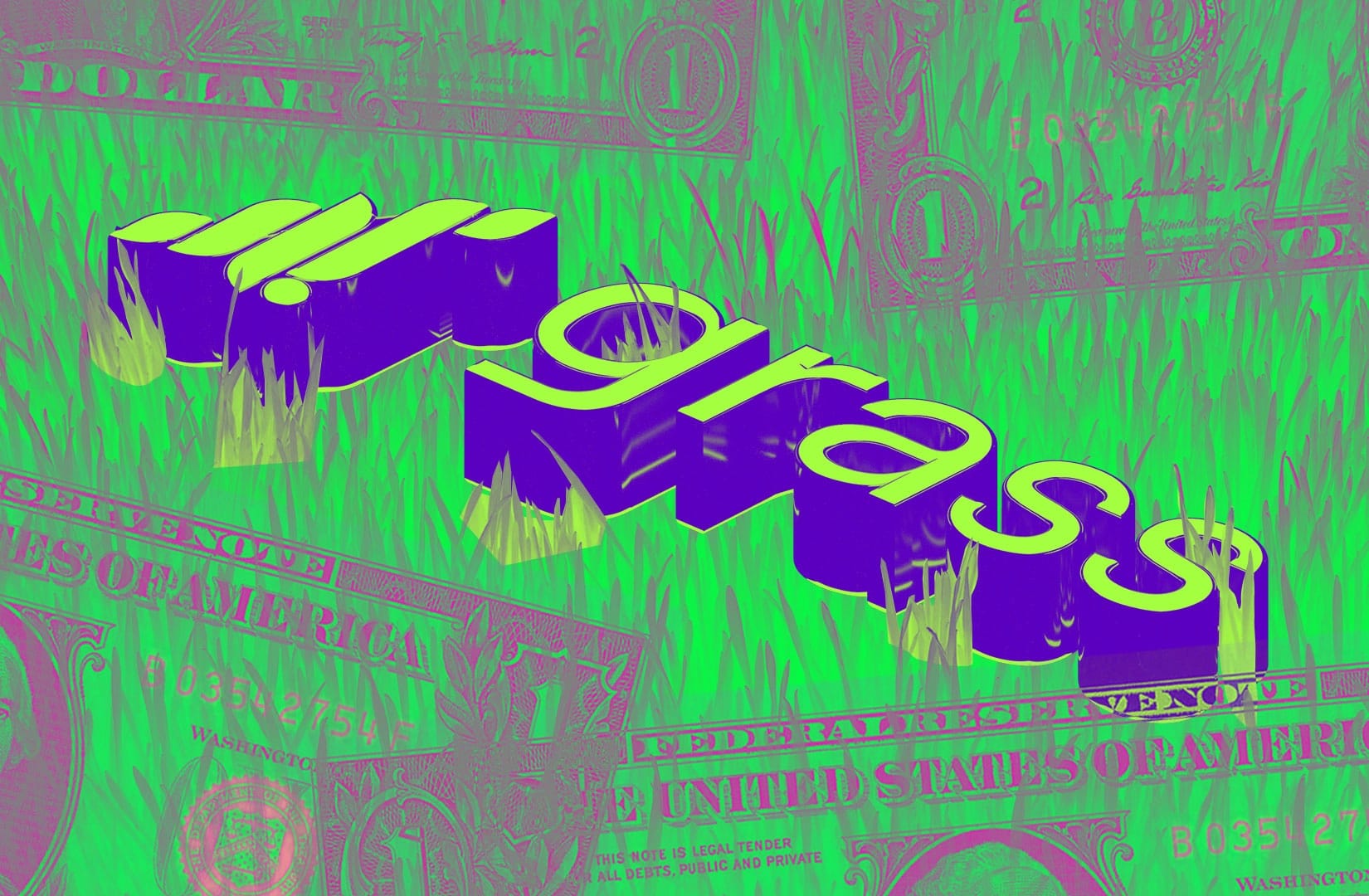 Grass raises $3.5 million from venture capital firms