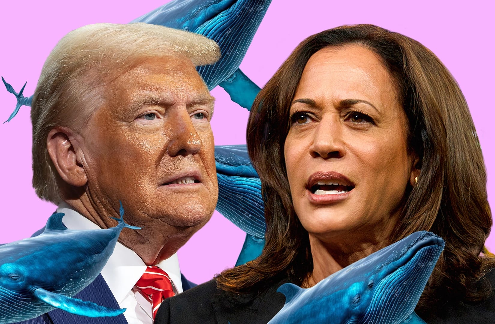kamala harris and donald trump